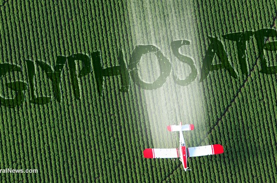 Glyphosate-Crop-Dusting